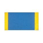 Imagen ampliada de Vishay PHT0402E1000BGPC